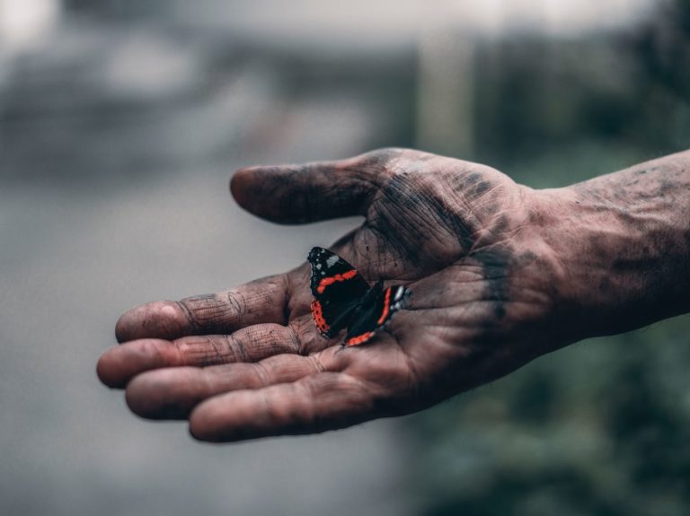 Contrefaits de société