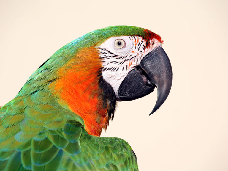 En toute simplicité…