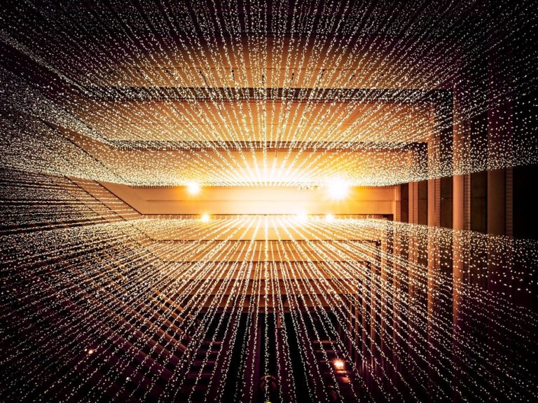 Le Data Storytelling : un arbre de connaissance qui cache une forêt d’opportunités