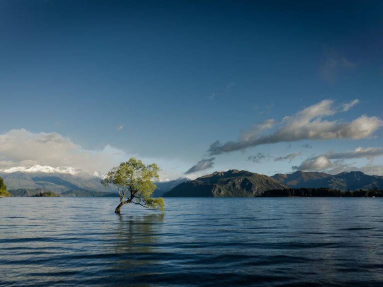 L’ONU met à l’honneur la réhabilitation de la carrière de Bellegarde (Gard)