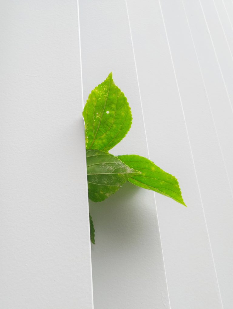 Economie Sociale et Solidaire : un engagement à valoriser