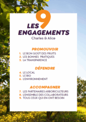 Campagne -1